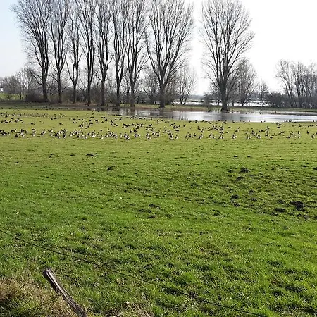 Eulenturm Apartamento *