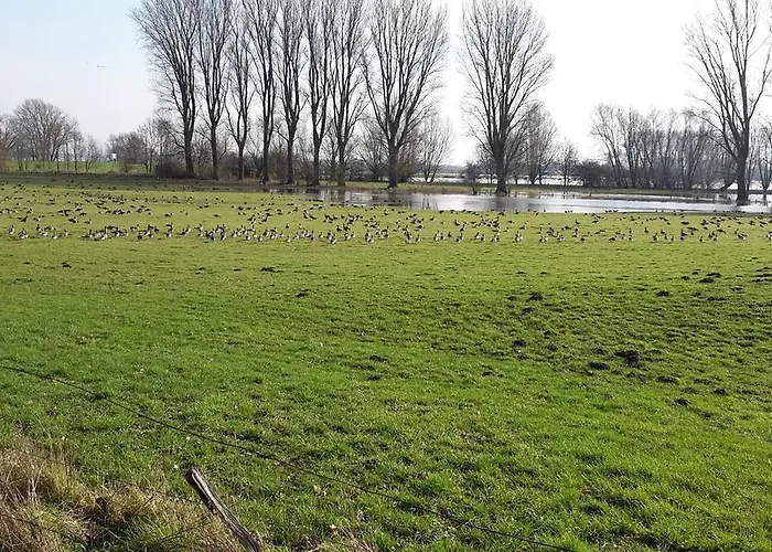 尤伦图姆公寓 公寓 *