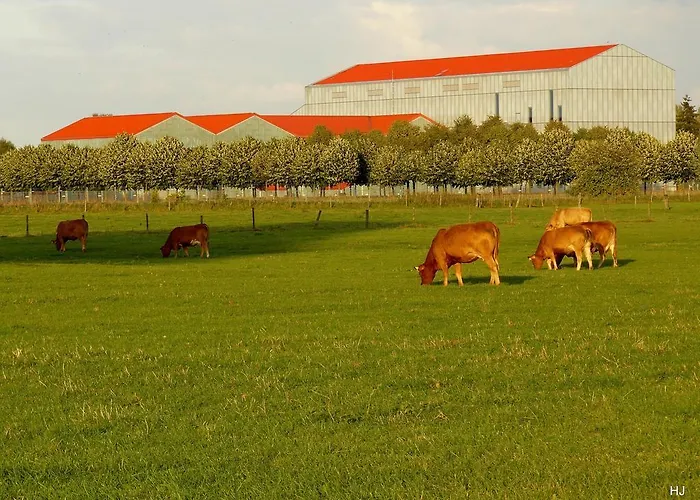 公寓 尤伦图姆公寓 克桑滕